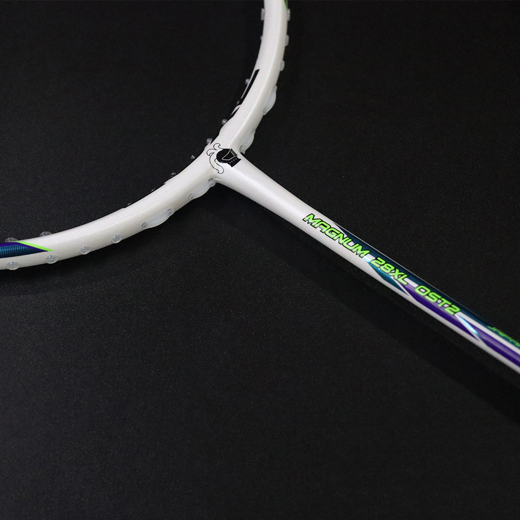 Badminton Racket – BlackKnightPH